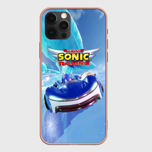 Чехол для iPhone 12 Pro Max с принтом Team Sonic racing - Hedgehog - Speed, вид спереди #2