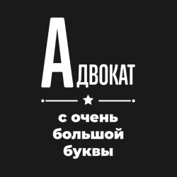 Мужской свитшот хлопок Адвокат с очень Большой буквы - фото 2