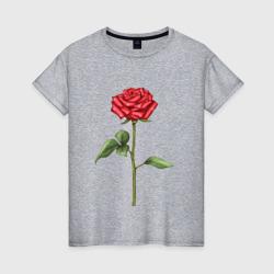 Роза красная – Женская футболка хлопок с принтом купить со скидкой в -20%