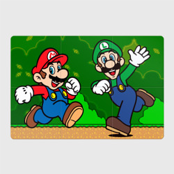 Магнитный плакат 3Х2 Luigi & Mario