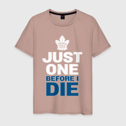 Торонто нхл – Мужская футболка хлопок с принтом купить со скидкой в -20%