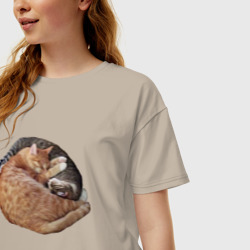 Женская футболка хлопок Oversize Два спящих кота - Инь-Янь - фото 2