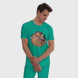 Мужская пижама хлопок Два спящих кота - Инь-Янь - фото 2