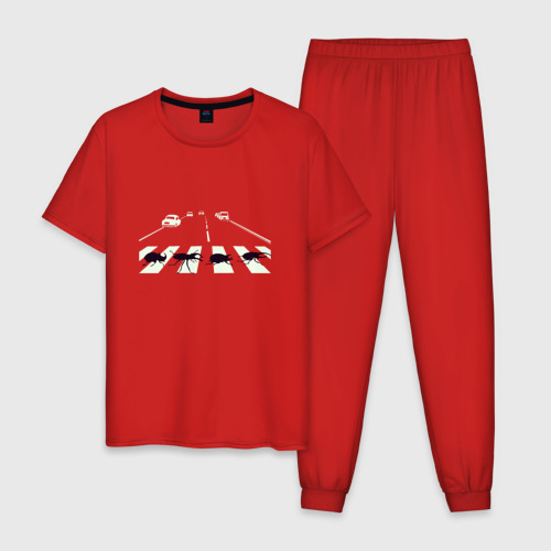 Мужская пижама хлопок Walking beetles, цвет красный