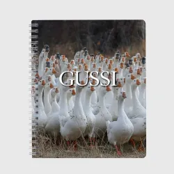 Тетрадь Стая гусей - Gussi