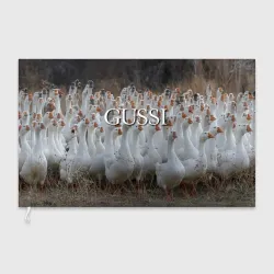 Флаг 3D Стая гусей - Gussi