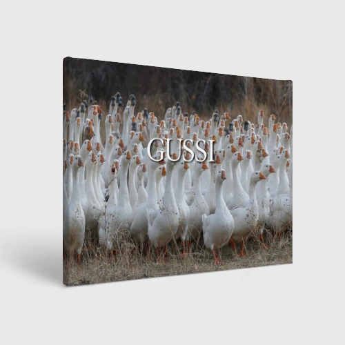Холст прямоугольный Стая гусей - Gussi