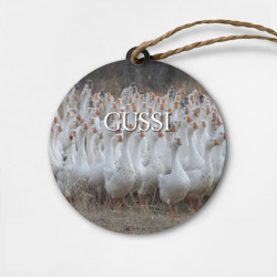 Деревянная игрушка круг Стая гусей - Gussi