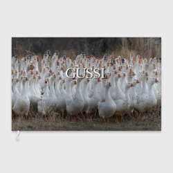 Флаг 3D Стая гусей - Gussi