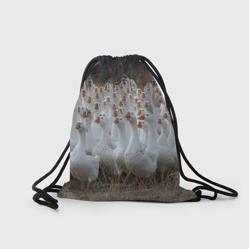 Рюкзак-мешок 3D Стая гусей - Gussi - фото 2