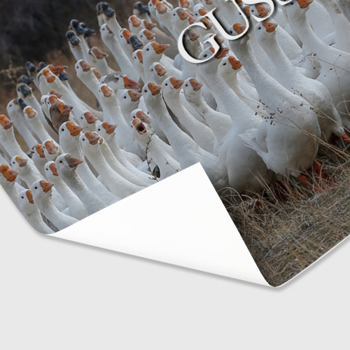Бумага для упаковки 3D Стая гусей - Gussi - фото 3