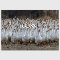 Поздравительная открытка Стая гусей - Gussi