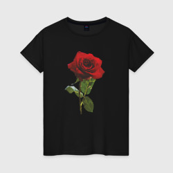Красивая красная роза – Женская футболка хлопок с принтом купить со скидкой в -20%