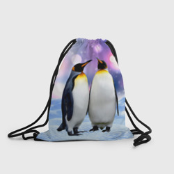 Рюкзак-мешок 3D Пингвины на снегу