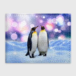 Обложка для студенческого билета Пингвины на снегу