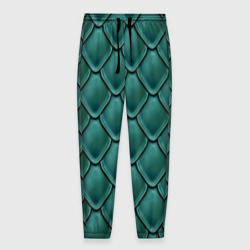 Мужские брюки 3D Чешуя змеи дракона