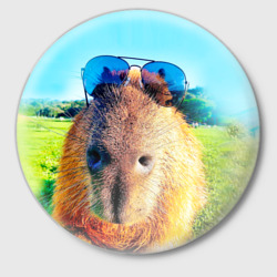 Friendly capybara  Капибара, Иллюстрации животные, Морская свинка