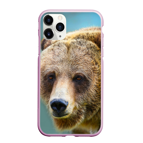 Чехол для iPhone 11 Pro матовый с принтом Русский бурый медведь, вид спереди №1