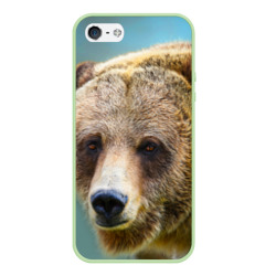Русский бурый медведь – Чехол для iPhone 5/5S матовый с принтом купить