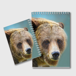 Блокнот с принтом Русский бурый медведь для любого человека, вид сзади №1. Цвет основы: белый