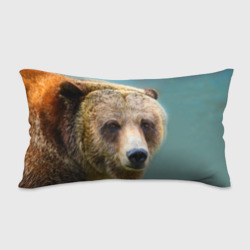 Подушка с принтом Русский бурый медведь для любого человека, вид сзади №1. Цвет основы: белый