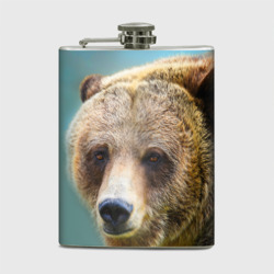 Русский бурый медведь – Фляга с принтом купить