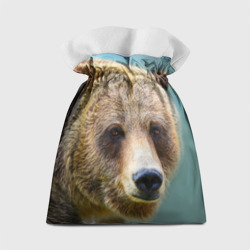 Мешок с принтом Русский бурый медведь для любого человека, вид сзади №1. Цвет основы: белый