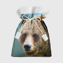Русский бурый медведь – Подарочный 3D мешок с принтом купить со скидкой в -13%