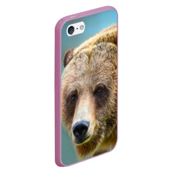 Чехол с принтом Русский бурый медведь для любого человека, вид спереди №3. Цвет основы: розовый