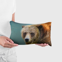 Подушка с принтом Русский бурый медведь для любого человека, вид спереди №2. Цвет основы: белый