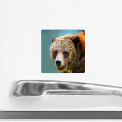 Магнит с принтом Русский бурый медведь для любого человека, вид спереди №2. Цвет основы: белый