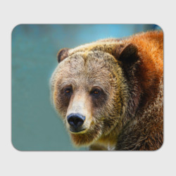 Русский бурый медведь – Прямоугольный коврик для мышки с принтом купить