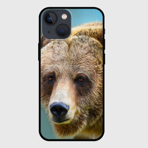 Чехол для iPhone 13 mini с принтом Русский бурый медведь, вид спереди №1