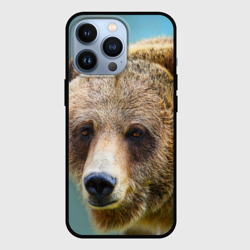 Русский бурый медведь – Чехол для iPhone 13 Pro с принтом купить