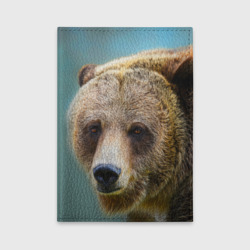 Русский бурый медведь – Обложка для автодокументов с принтом купить со скидкой в -20%