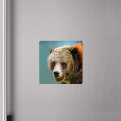 Магнит с принтом Русский бурый медведь для любого человека, вид спереди №4. Цвет основы: белый