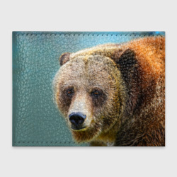 Русский бурый медведь – Обложка для студенческого билета с принтом купить со скидкой в -20%