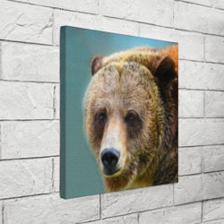 Холст с принтом Русский бурый медведь для любого человека, вид спереди №3. Цвет основы: белый