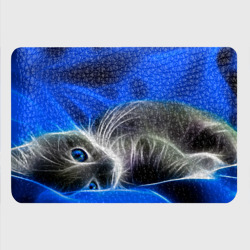 Картхолдер с принтом Спящий неоновый котёнок на синем фоне - фото 2