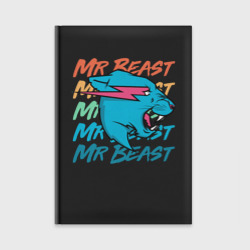 Ежедневник Mr Beast art