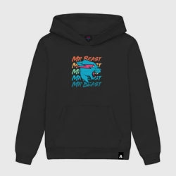 Мужская толстовка хлопок Mr Beast art