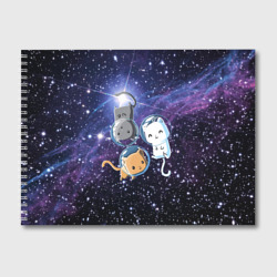 Альбом для рисования Три котика в открытом космосе