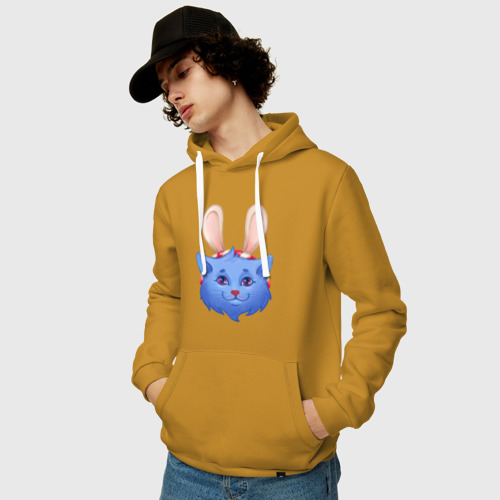 Мужская толстовка хлопок с принтом Кот с ушами кролика, фото на моделе #1