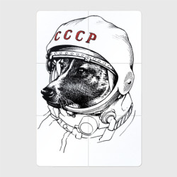 Магнитный плакат 2Х3 Лайка собака космонавт СССР