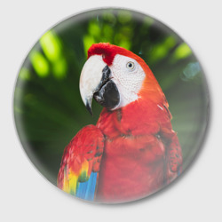 Значок Красный попугай Ара