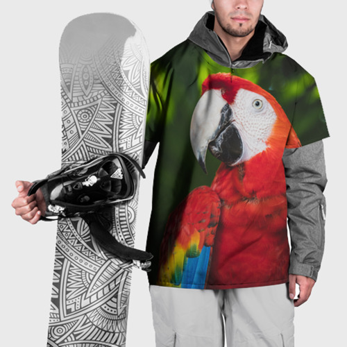 Накидка на куртку 3D Красный попугай Ара, цвет 3D печать