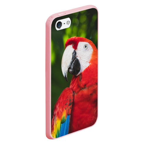 Чехол для iPhone 5/5S матовый Красный попугай Ара, цвет баблгам - фото 3