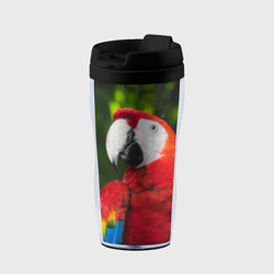 Термокружка-непроливайка Красный попугай Ара