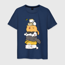 Мужская футболка хлопок Пирамидка из котиков