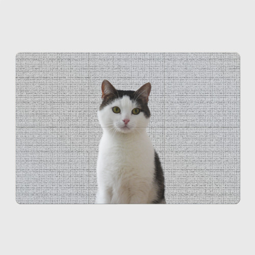 Магнитный плакат 3Х2 Задумчивый котик